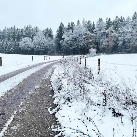 Dom wakacyjny Rudnik Near Lift Javorník